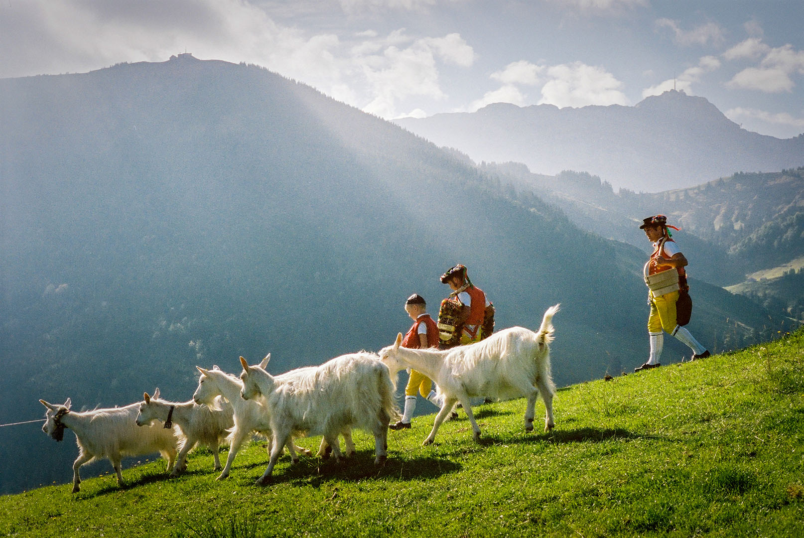 Reportageaufnahme von Raphael Rohner — Sennen mit Ziegen auf der Alp